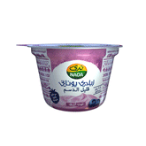 Nada Greek Yoghurt Low Fat Blueberry 160g